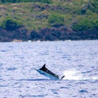 FISHING-KONA-HAWAII-9
