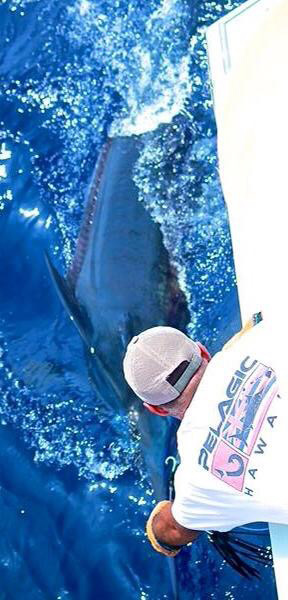 big-game-fishing-kona