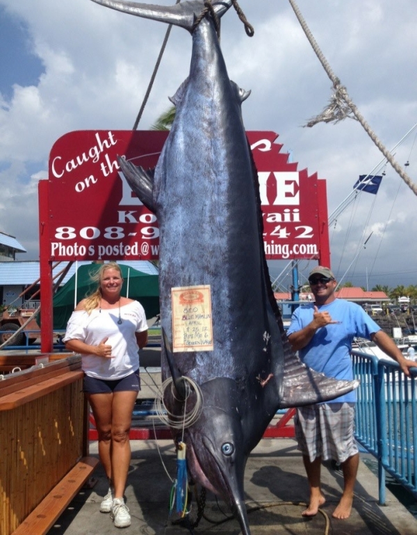 Kona Hawaii Fishing Charters