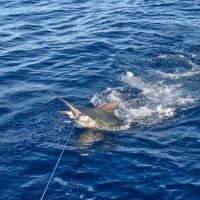 530814544_18058278416581583_3990929080323713171_n