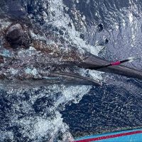 536452730_18059245301581583_8929896469214443555_n