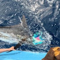 537284381_18059245292581583_1618850314605168649_n