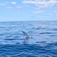 538288543_18059660012581583_5768332568002882198_n