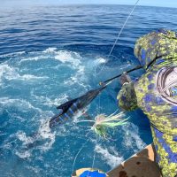 539276420_18059660021581583_2969264322137787527_n