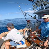 539464675_18059660003581583_962723923685287553_n